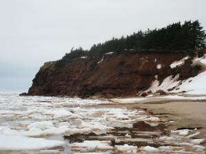 Ice at sea shore and cliff smaller.jpg