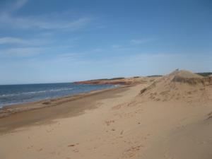 PEI Sand dunes smaller.jpg